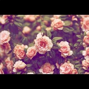 Meet your Posher, Dennis